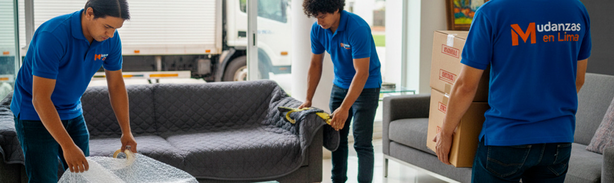 Mudanzas profesionales Mudanzas profesional en lima